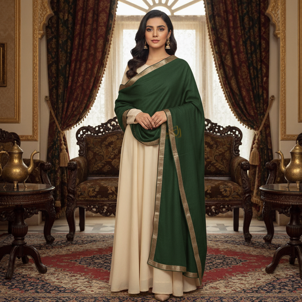 Guzel Zari Kashmiri Shawl - Midnight Green