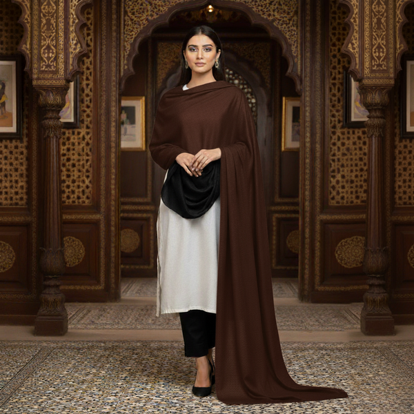 Pashmina Kashmiri Shawl - Brunette