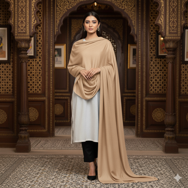 Pashmina Kashmiri Shawl - Tan