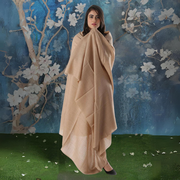 Pashmina Kashmiri Shawl - Tan