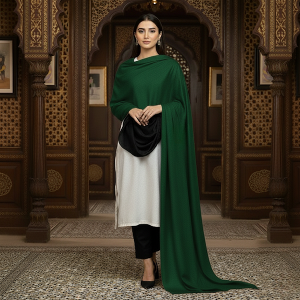 Pashmina Kashmiri Shawl - Green
